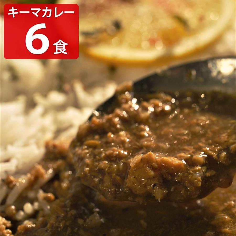 何度でも食べたくなるスパイシーキーマカレー 6食 セット レトルトカレー