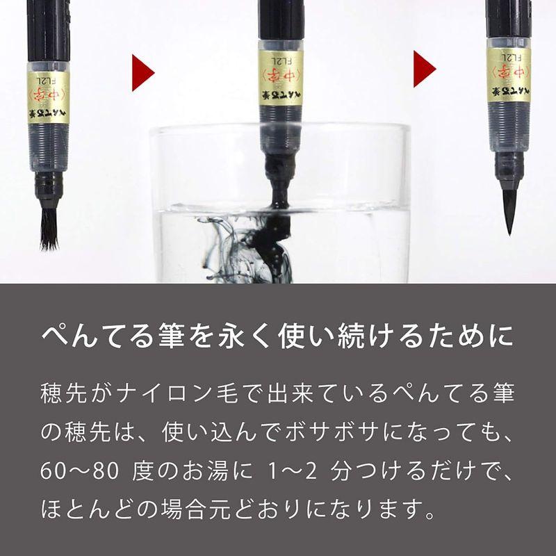 ぺんてる 筆ペン 顔料極細 カートリッジセット AMZ-XFP5F-R
