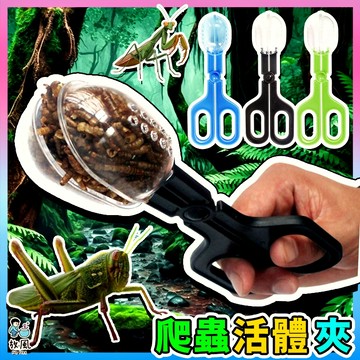 放風爬蟲大王🦎【爬蟲餵食活體夾】餵食夾子 夾便器 清潔夾 捕蟲夾 捕捉夾 麵包蟲 蜥蜴 守宮 蜘蛛 餵食夾 活餌夾 飼料