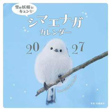 【預購】白色精靈 北長尾山雀 雪の妖精にキュン シマエナガ 2027年壁掛型月曆【東京卡通漫畫專賣店】