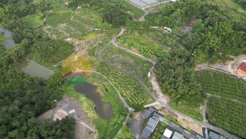 燕巢#阿公店水庫旁#煙波段休閒農地｜高雄市燕巢區煙波段