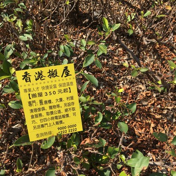 明信片 | #4 街招