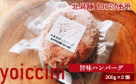 北島豚100％使用！ヨイッチーニ旨味ハンバーグ200g×2個〈ヨイッチーニ〉