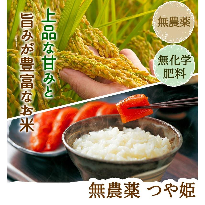 5分づき 無農薬 つや姫 2kg 令和4年福宮城産 特別栽培米 無農薬 無化学肥料栽培