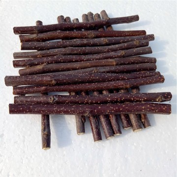 🔥現貨供應中 快速出貨🚚天然蘋果枝 甜竹 磨牙棒 磨牙石 蜜袋鼯 兔子 倉鼠 天竺鼠 黃金鼠 一線三線 銀狐 老公公