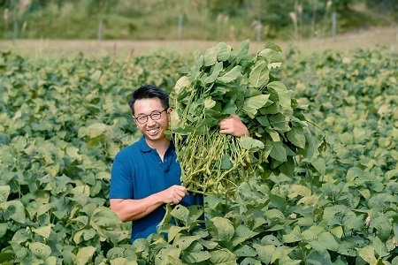 冷凍 丹波黒枝豆 熟成 600g（200g×3パック）( 枝豆 国産 冷凍枝豆 丹波 枝豆 黒枝豆 おつまみ 枝豆 京丹波 枝豆  　[010KY002]