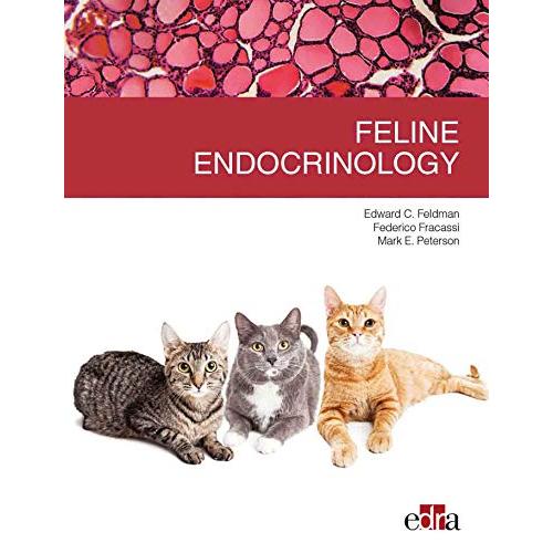 Feline endocrinology