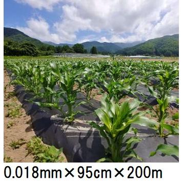 生分解性マルチフィルム キエ丸 黒 0.018mm×95cm×200ｍ 消えるマルチ (きえ丸 きえまる キエマル)　(zs)