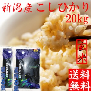 新米 玄米 20kg 送料無料 令和5年 新潟産 コシヒカリ 玄米20キロ 送料