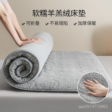 🔥臺灣出貨🔥床墊軟墊家用加厚羊羔絨床褥子保暖冬季學生宿捨單人租房專用墊被 OFNJ
