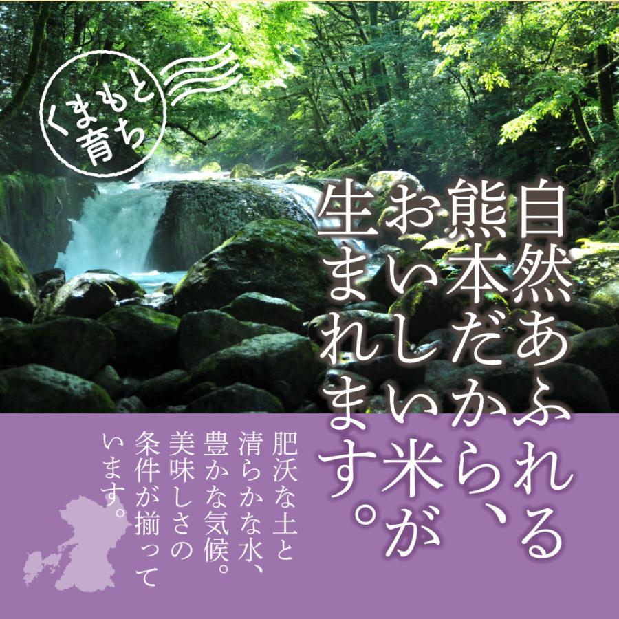 熊本県産 七城のこめ 20kg (5kg×4袋）白米 おうち時間 おすすめ おいしい おにぎり お弁当 送料無料