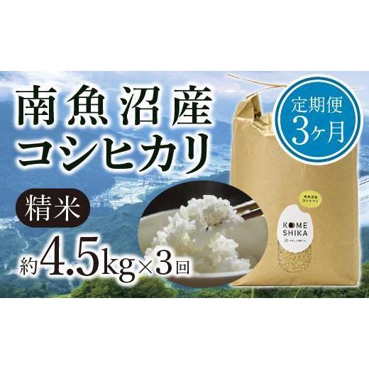 ふるさと納税 新潟県 雪室貯蔵 南魚沼産コシヒカリ  精米約4.5kg×3回 精米したてをお届け