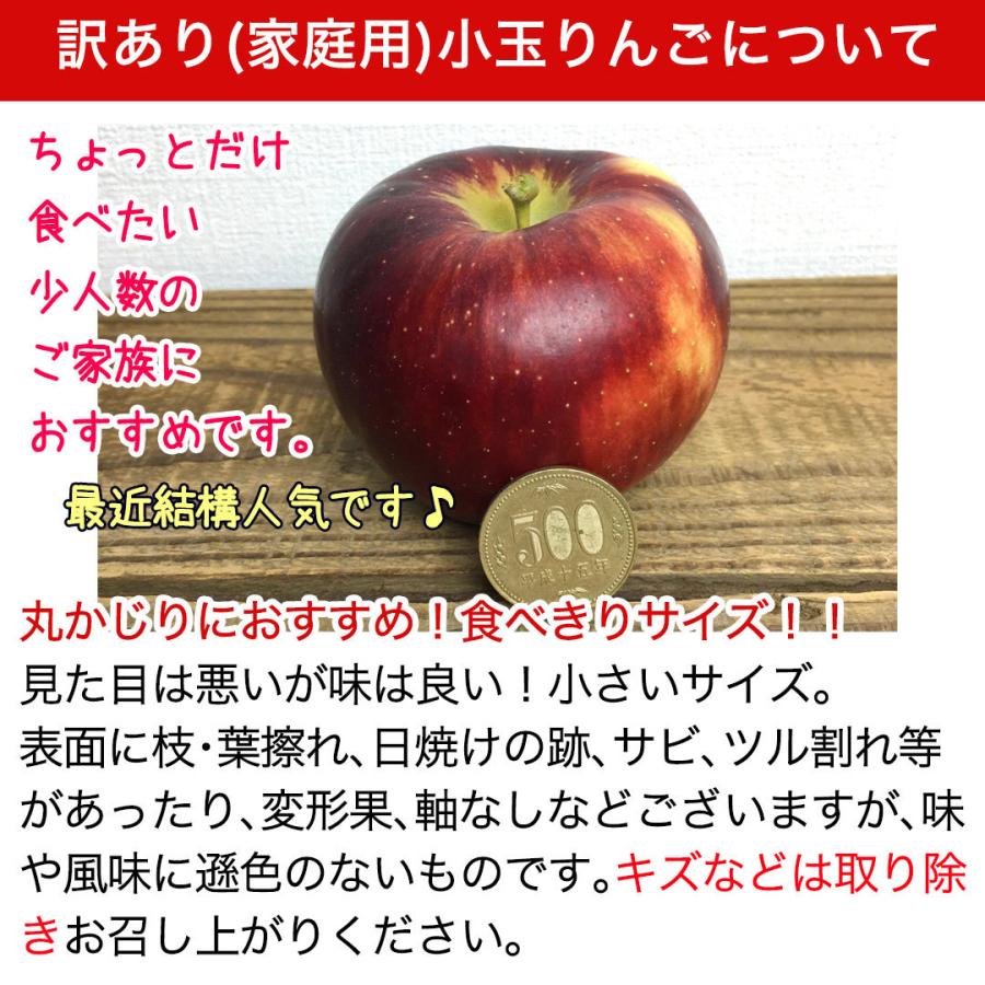 旬のおまかせ 葉とらずりんご 訳あり（無選別）約2.5kg 7〜16玉 食べ比べ 減農薬 長野県産 産地直送 送料無料 #NAX0B025