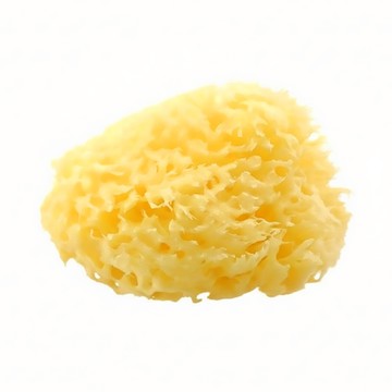 nIZio 希臘天然蜂巢海棉 特大型  黃色  1個