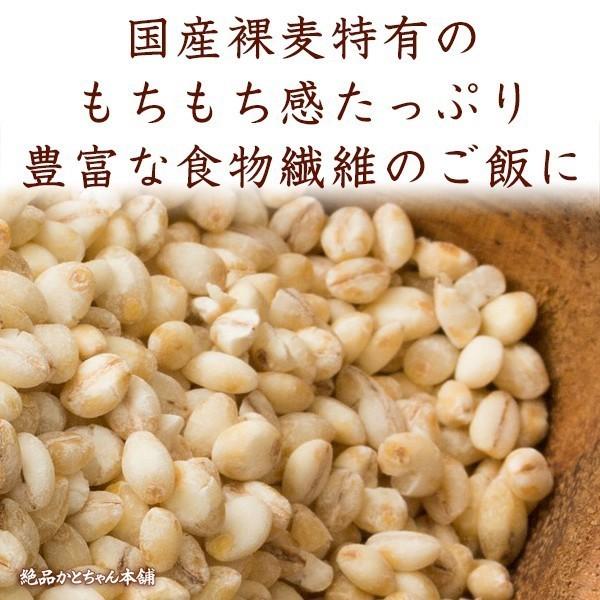 雑穀 雑穀米 国産 はだか麦 900g(450g×2袋) 厳選 裸麦 六条大麦 送料無料 ダイエット食品 置き換えダイエット 雑穀米本舗