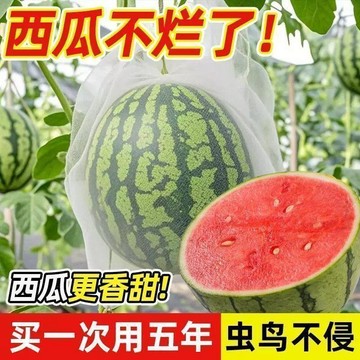 ✈️隔日出🔥7.1🔥西瓜套袋 抽繩果實保護袋 大號32x48 透氣透光防鳥網袋 葡萄南瓜水果套袋 果園種植防雨網袋