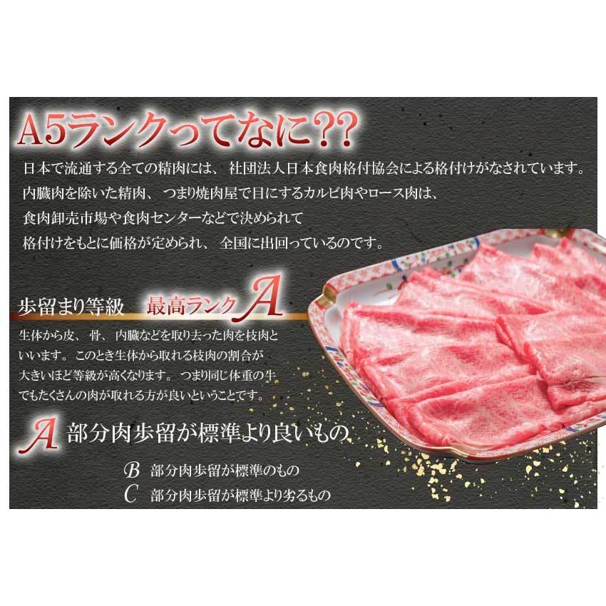 お歳暮 2023 和牛 牛肉 黒毛和牛 A5等級 厚切り サーロインステーキ600g 贈答にも(300g×2枚) ギフト