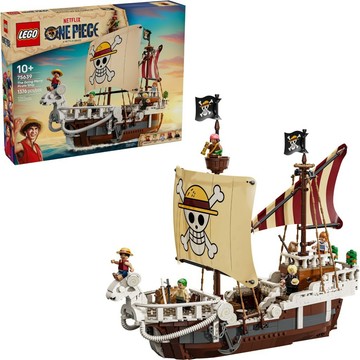LEGO 75639 前進梅利號海賊船🟦淡北 🟩電積系(3999)🟨One Piece