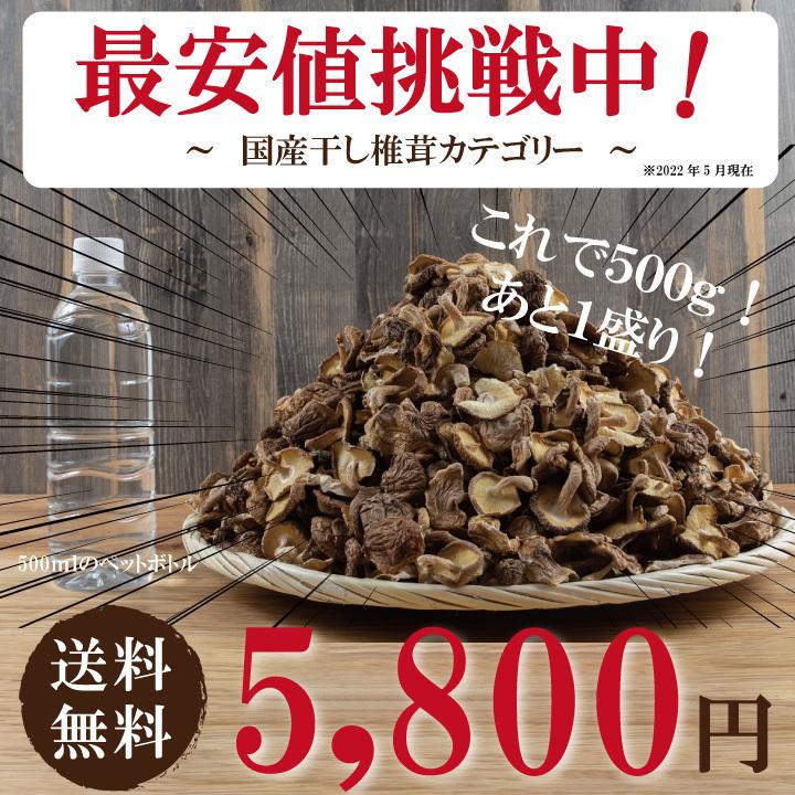 業務用国内産菌床椎茸500g×2　干し椎茸 国産 訳あり 大容量 送料無料 無農薬 最安値挑戦中