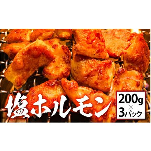 ふるさと納税 福井県 敦賀市 [063-a001] ホルモン 焼肉屋「牛びより」自慢の味付き 塩ホルモン 200g × 3パック（計600g） 【冷凍 焼肉 豚ホルモン BBQ バーベ…