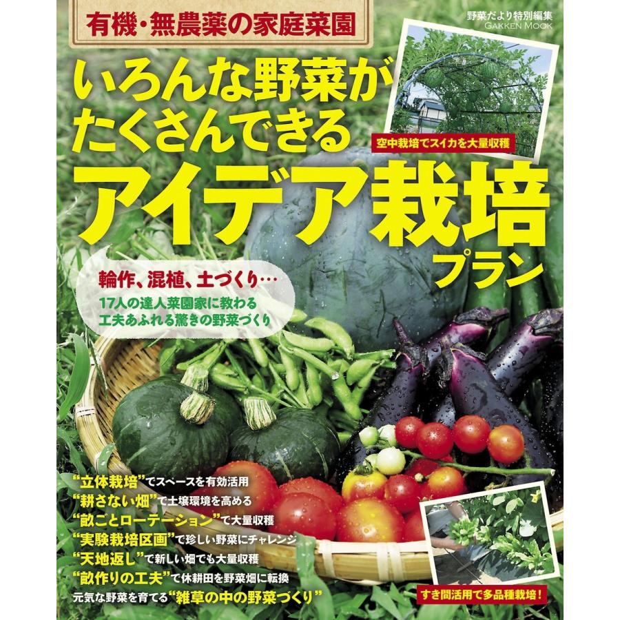 いろんな野菜がたくさんできる アイデア栽培プラン