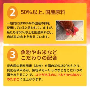 ふるさと納税 卵 わずか4%の希少な純国産鶏 いけだの森たまご 60個 こだわり おこめのたまご 玉子 鶏卵 生卵 産地直送 冷蔵配送 TKG 卵かけご飯 .. 岐阜県池田町