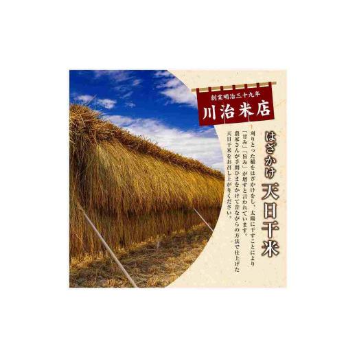 ふるさと納税 新潟県 十日町市 魚沼産 コシヒカリ 天日干米 5kg 米 こしひかり お米 コメ 新潟 魚沼 魚沼産 白米 送料無料 新潟県産 精米 産直 産地直送 はざ…