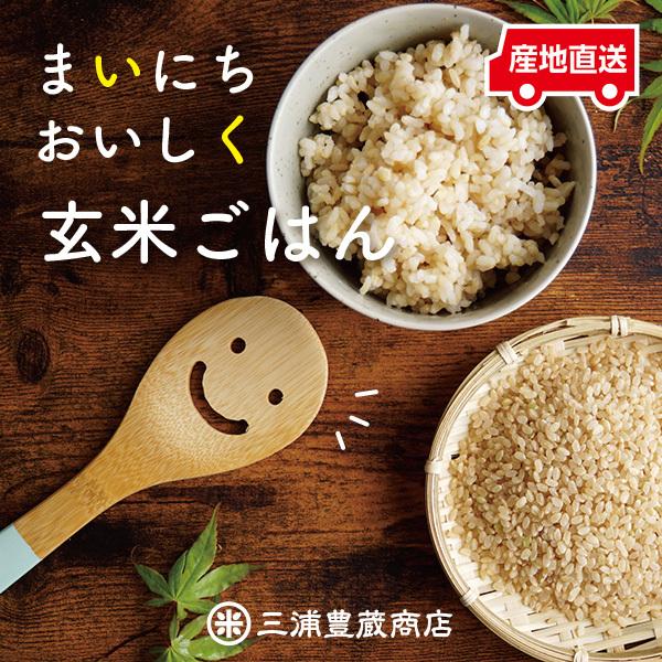 新米が入荷しました 玄米 30kg コシヒカリ 特別栽培米 京都丹波産 「令和5年産」