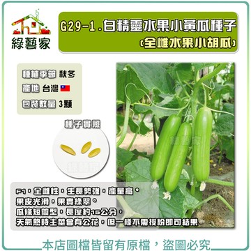【綠藝家】G29-1.白精靈水果小黃瓜種子3顆(全雌水果小胡瓜)