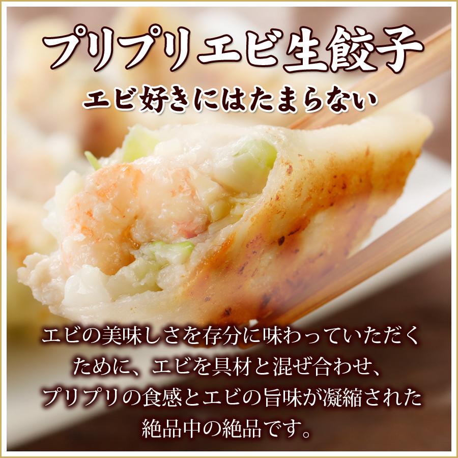 お歳暮限定商品】送料無料 詰め合わせ 冷凍餃子  生餃子 餃子 ぎょうざ ギョーザ ギョウザ 冷凍生餃子 お取り寄せ セット 冷凍食品 グルメ