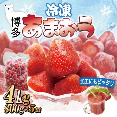 ふるさと納税 太宰府市 福岡県産冷凍あまおう4kg(800g×5袋)(太宰府市)