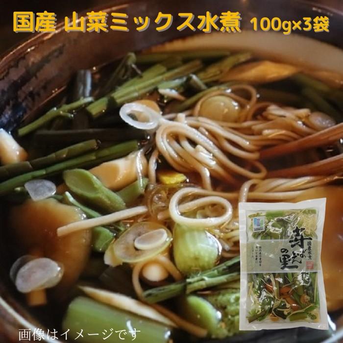 国内産 山菜ミックス水煮 100ｇ×3個