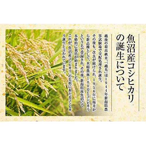 令和４年産 魚沼産 コシヒカリ JAみなみ魚沼農協産 安心のＪＡ農協 天地米 5kg