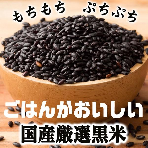 雑穀 雑穀米 国産 黒米 450g （翌日発送） 送料無料 厳選 もち黒米 ダイエット食品 置き換えダイエット 雑穀米本舗 ＼セール／