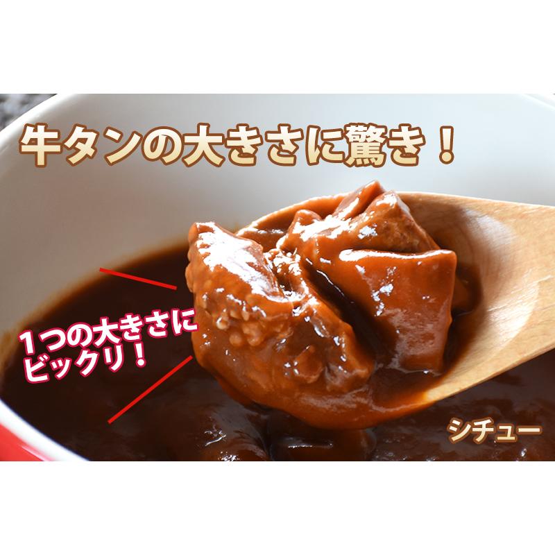 牛タンカレーと牛タンシチューのセット （各２袋） レトルト食品 メール便 送料無料 クリスマス 御歳暮 お歳暮 ギフト