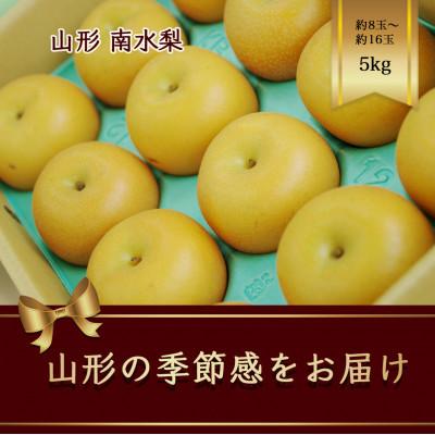 ふるさと納税 山形県 南水梨　約8〜16玉　約5kg