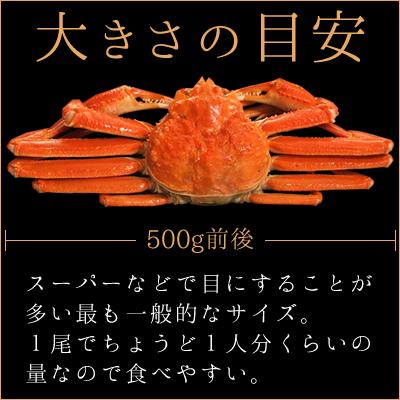 ボイル ズワイガニ 姿 500g前後 2尾 セット ずわいがに かにみそ 贈り物 蟹 お取り寄せ ギフト グルメ 送料無料  かに 北海道 プレゼント