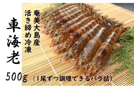 鹿児島県 奄美大島産・冷凍車えび400g　贈答箱入・鹿児島県宇検村