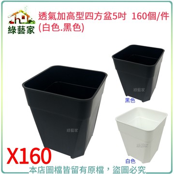 【綠藝家】透氣加高型四方盆5吋160個/件(黑色.白色共2色可選)