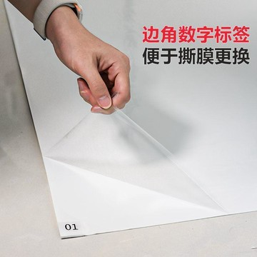🔥臺灣出貨🔥一次性入戶粘塵墊可撕式家用辦公室籃球場粘灰腳墊寵物粘毛除塵墊