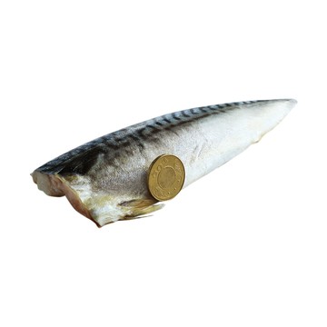築地一番鮮 3L挪威薄鹽鯖魚 210g X20片｜特大規格 /單片真空 /囤貨量販組