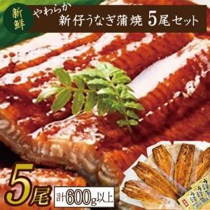 ふるさと納税 AD-82　やわらか新仔うなぎ蒲焼120〜140ｇ　5尾　計600ｇ以上 茨城県行方市