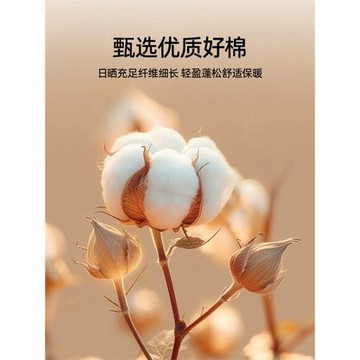 婧麒A類母嬰級棉花被子兒童冬被嬰幼兒棉被保暖春秋學生宿舍被芯a