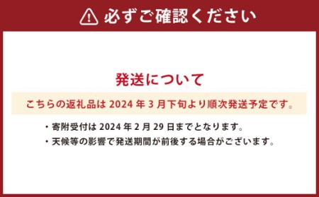 デコポンおよび熊本県産季節の柑橘 約3kg 約10～11玉