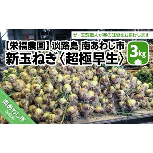 ふるさと納税 兵庫県 南あわじ市 新玉ねぎ　淡路島　南あわじ市　3ｋｇ　超極早生（配送１月下旬〜３月中旬）