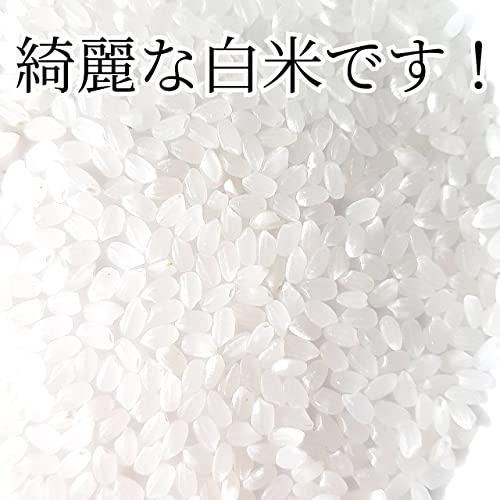 丸増令和5年度 埼玉県産 コシヒカリ 3kg 紙袋 おいしいお米 精米したてをお送り致します プレゼント 販促品 贈答用