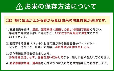 イエスクリーン米 ななつぼし 玄米 30kg 令和5年産