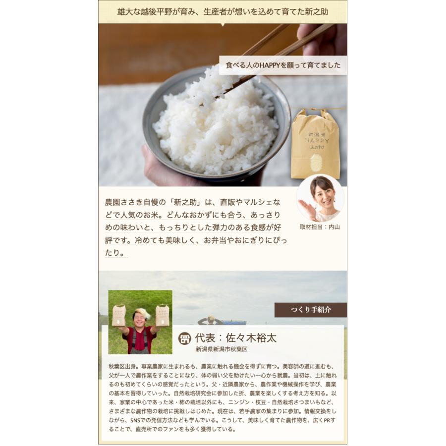 新潟県産 新潟米HAPPY新之助 玄米20kg  農園ささき 送料無料