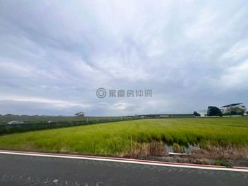 壯圍五權段近壯圍國中彩繪稻田旁足坪角地｜宜蘭縣壯圍鄉五權段