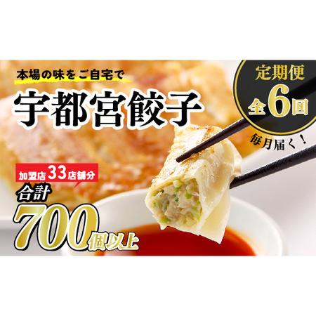 ふるさと納税 宇都宮餃子　32店舗定期便　計700個以上 ｜ ぎょうざ 冷凍餃子 冷凍食品 惣菜 栃木県 宇都宮市 ※着日指定不可 栃木県宇都宮市